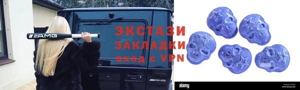 стаф Богородск