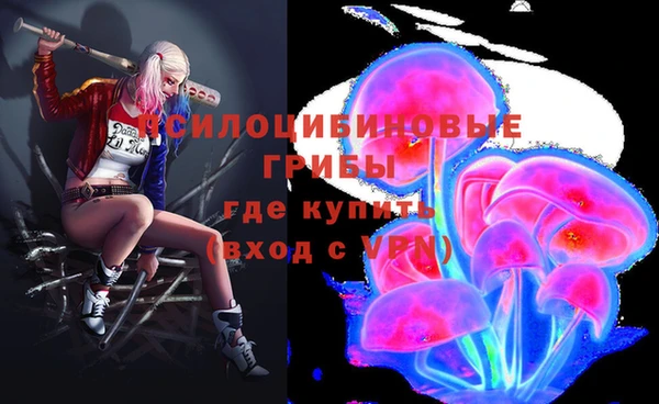 стаф Богородск