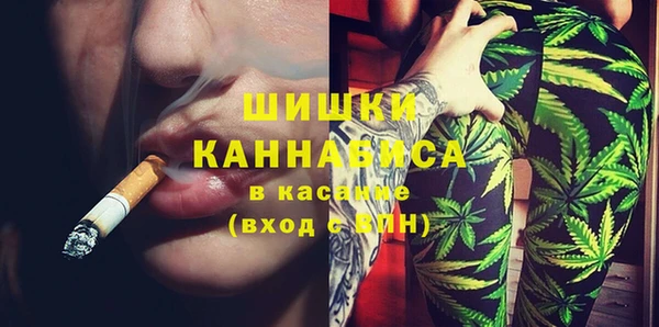 стаф Богородск