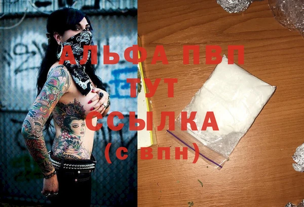 2c-b Бородино