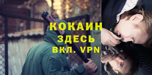 эйфоретик Богданович